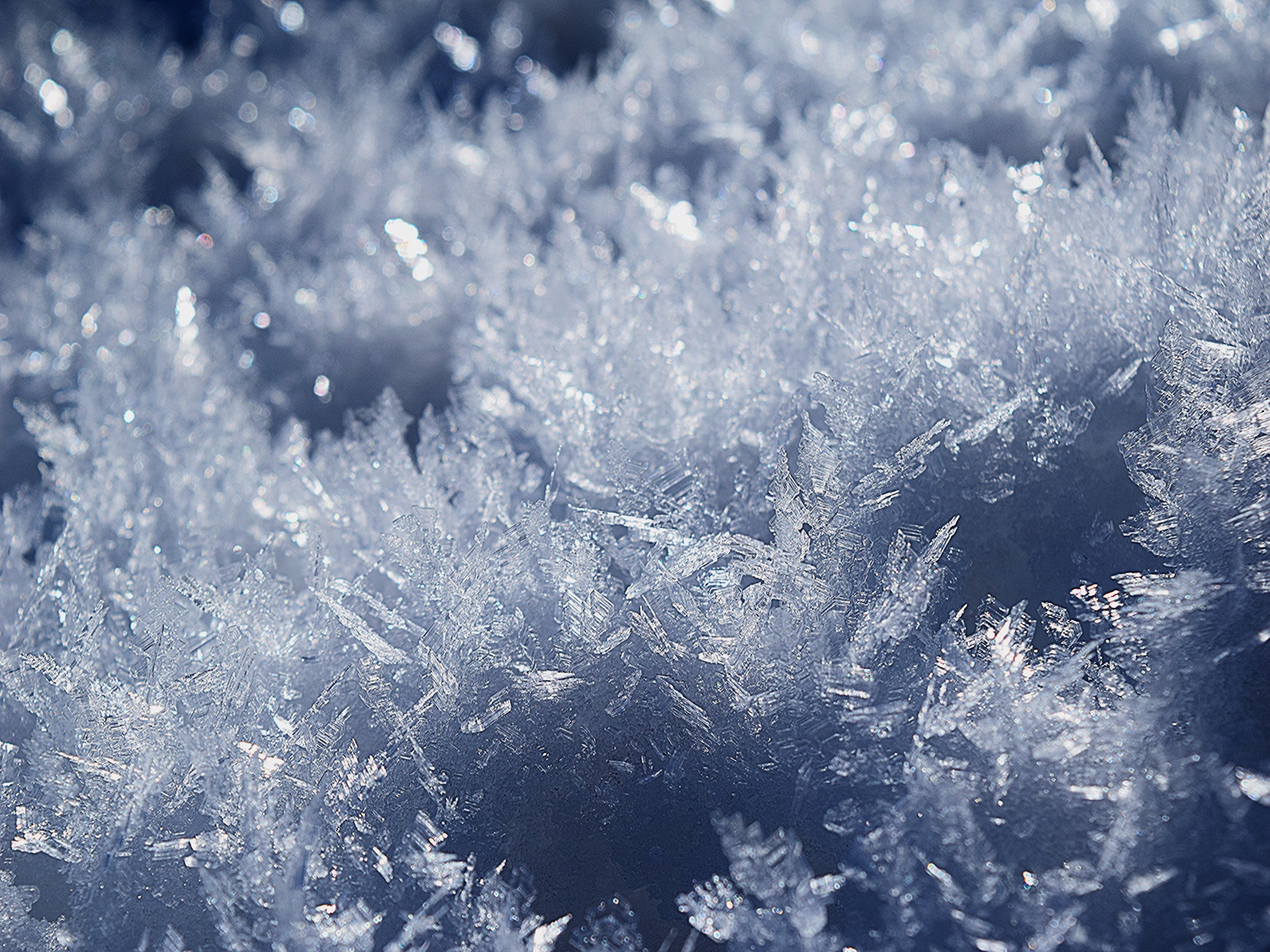 Neve