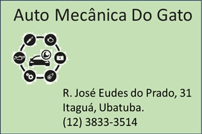 Automecanica